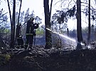 U Horn Cerekve na Pelhimovsku hoelo 12 hektar lesa, byl vyhlen tet...