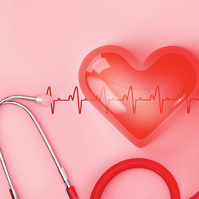 Srde�n� choroby pat�� zejm�na ve vysp�l�ch zem�ch mezi nej�ast�j�� p���iny smrti. K nejroz���en�j��m poruch�m pat�� vysok� krevn� tlak a r�zn� onemocn�n� �il �i tepen, nej�ast�j�� p���inou smrti v tuzemsku pak jsou infarkt a srde�n� selh�n� (p�es 35 % �mrt�).