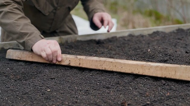 Pomoc lat srovnejte zeminu do roviny, aby mly vechny rostliny stejn podmnky k rstu.