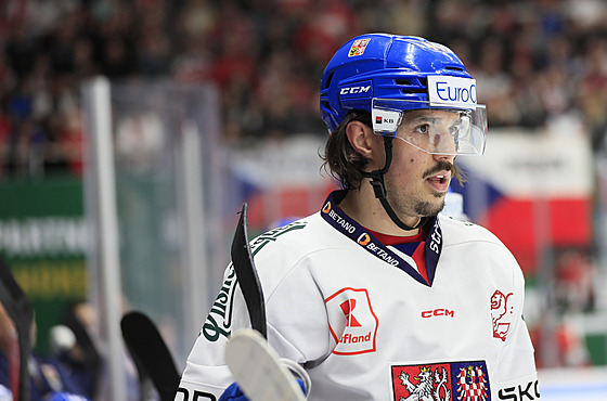 Mat�j Stránský b�hem zápasu s Finskem na �eských hokejových hrách.