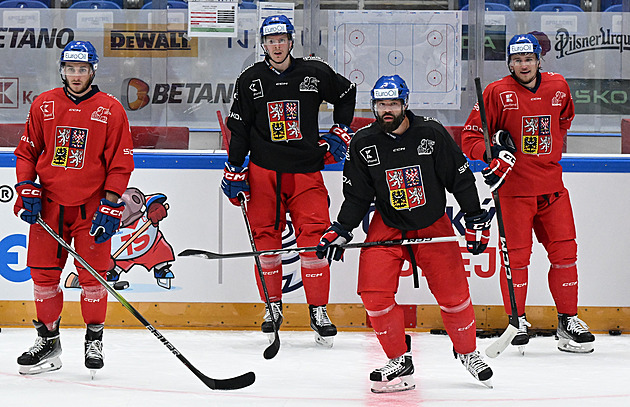 ONLINE: Češi hrají v Brně s Finskem. Chytá Dostál, v poli sedm posil z NHL
