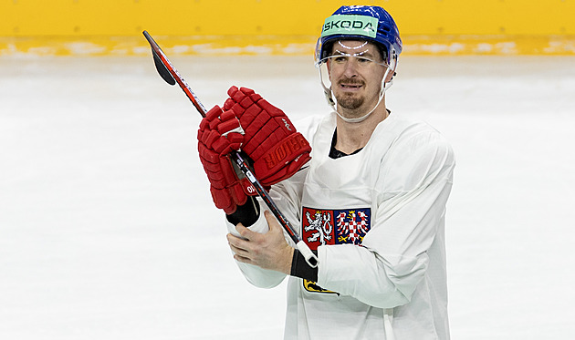 Červenka získal cenu IIHF pro nejlepšího hokejistu sezony, Dostál byl třetí