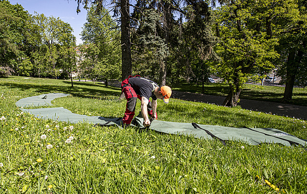 Centrum Brna zkrášlí stovky nových stromů, růstu pomůže speciální podzemní systém