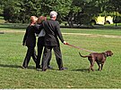 Bill Clinton (prezidentem USA 19932001) ml okoládového labradorského...