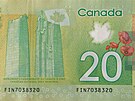 Na zadní stran aktuální dvacetidolarové bankovky je kanadský památník ve Vimy....