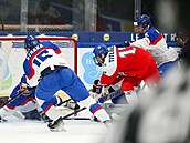 eský hokejista Adam Titlbach (v erveném) bojuje ped slovenskou brankou.