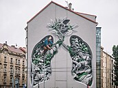 Mural v ulici Otakarova, který vytvoil umlec ChemiS. (7. kvtna 2024)