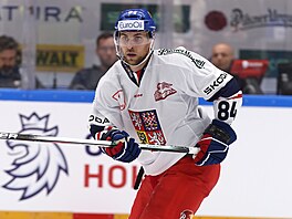 Reprezenta�ní obránce Jan Rutta na �eských hrách v Brn�.