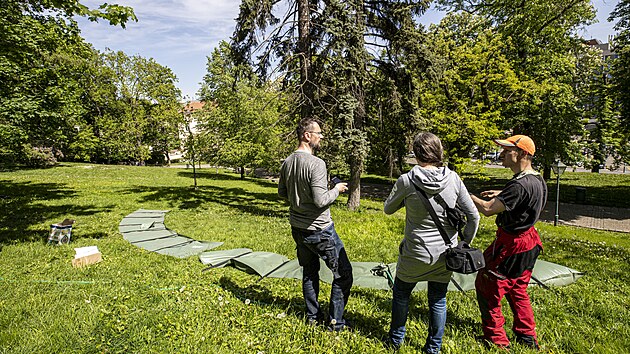 V Brn zalvaj u i vzrostl stromy, pracovnci k nim dvaj ob vaky. (jaro 2024)