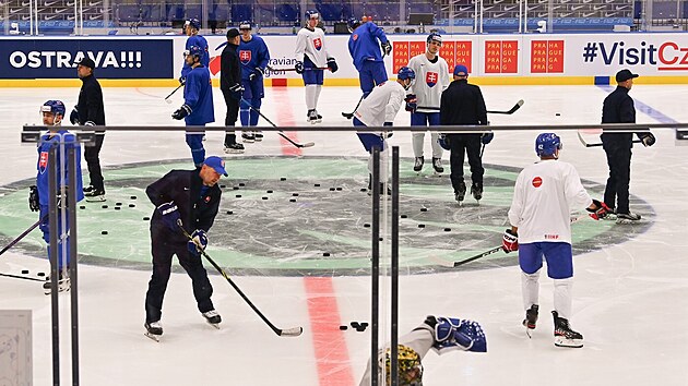 Trnink slovenskch hokejist v Ostrava Aren.