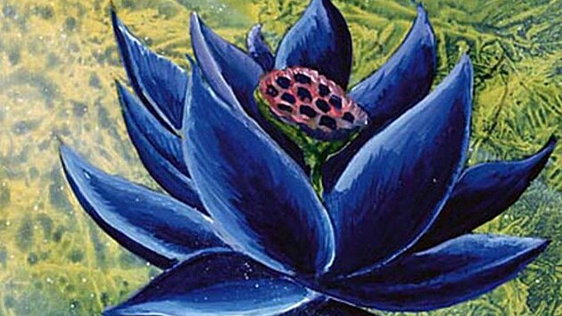 Black lotus je nejdraí kartou sbratelské hry Magic the Gathering