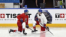 Jan otka (vlevo)  a Michal Kovaík na tréninku eské hokejové reprezentace...