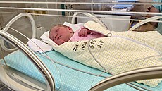 D�v�átko nalezené v dubnu 2024 ve znojemském babyboxu dostalo jméno po...