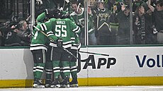 Hokejisté Dallas Stars slaví gól Radka Faksy.
