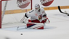 Branká Luká Dostál zasahuje bhem zápasu s Finskem na eských hokejových...
