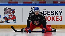 Hokejový obránce David paek se rozcviuje ped tréninkem na eských hrách.