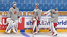�e�tí branká�i na tréninku p�ed mistrovstvím sv�ta. Zleva Karel Vejmelka, Luká�...