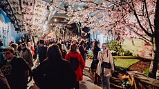 Tradi�ní jarní výstava Floria na výstavi�ti v Krom��í�i (duben 2024)