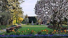 Jaro s cibulovinami a magnolií na prvorepublikové zahrad v Kromíi