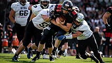 Gladiators ve Snapbacks lize pivítají doma Bratislavu Monarchs