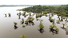 Letecký pohled na Laguna Grande v chránném amazonském detném pralese Cuyabeno...
