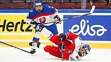 eský hokejista Petr Sikora na led v zápase se Slovenskem,