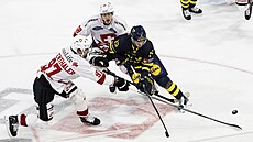 �výcar�tí hokejisté  Jonas Siegenthaler (vlevo) a  Fabrice Herzog brání �véda...