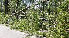 Na silnici mezi obcemi Hrádek a Jehndí spadl na jedoucí vz strom. (1. kvtna...