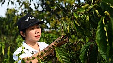 ilustra�ní snímek