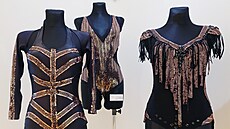 Tanenice Lucie Macková vystavuje své extravagantní kostýmy i návrhy v Mstském...