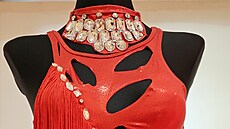 Tanenice hledí na udritelnost, látky hledá po bazarech a dává jim dalí ivot.