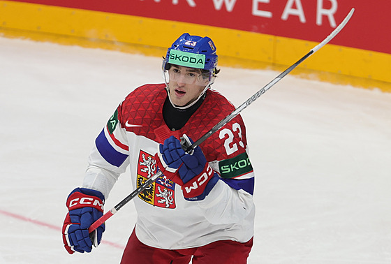 Luká� Sedlák v duelu proti Dánsku.