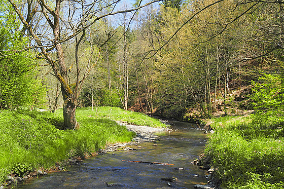 �í�ka Budi�ovka