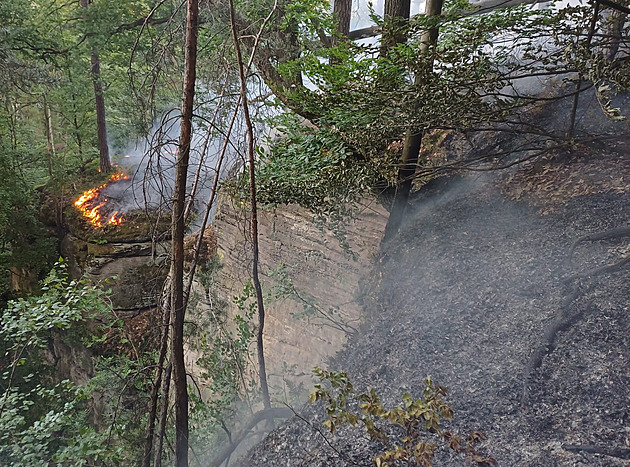 U Mladé Boleslavi hoří les, v terénu je na 20 hasičů, hasí i bambi vak