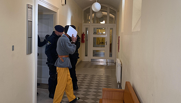 Soud poslal do vazby muže bez domova obviněného z vraždy přítelkyně v Plzni