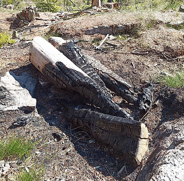 Na Šumavě si někdo rozdělal oheň, správa národního parku zdůrazňuje zákaz