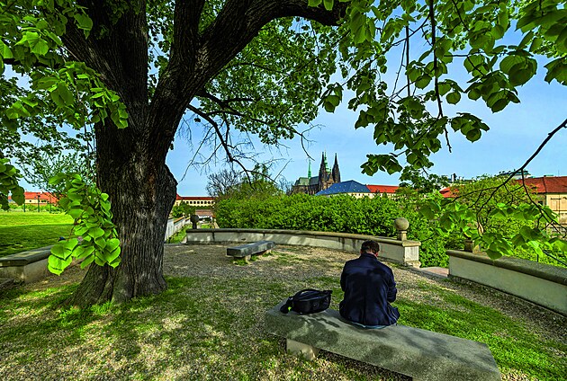 Jelení píkop. Pod statnou lípou proti ternberskému paláci rád odpoíval...