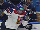 eský útoník Jakub Flek bhem zápasu s Finskem na domácím hokejovém MS.