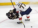Danton Heinen (43) z Boston Bruins padá po zákroku Nika Mikkoly (77) z Florida...
