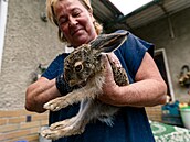 Na dvo�e záchranné stanice v Pate�ín� u Ond�eje a Jany Csikových hosty p�ivítá...