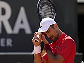 Tápání Novaka Djokovie bhem utkání s chilským tenistou Alejandrem Tabilem.