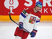 Obránce národního týmu David paek.