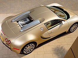 Bugatti Veyron je perlou jeho profesního ivotopisu, otevený motorový prostor...