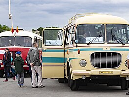 Sedm ronk praskho autobusovho dne se uskutenil na Letensk plni,...