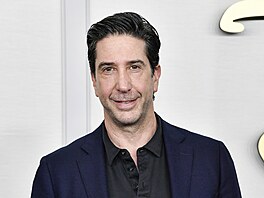 David Schwimmer (14. kv�tna 2024)
