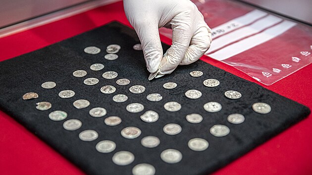Archeologov nali na Kutnohorsku vce ne dva tisce minc denr. Takov mnostv pedstavovalo ve sv dob obrovskou stku. (16. kvtna 2024)