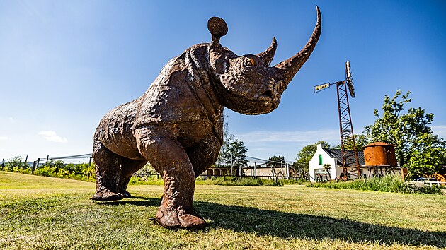 Plechov nosoroec piputoval do krlovdvorsk zoo z Keni. (15. kvtna 2024)
