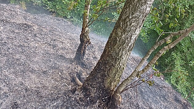 Por ve tvrtek veer zashl les u ehrova na Mladoboleslavsku. Nyn ho hasii monitoruj. (10. kvtna 2024)