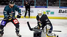 V AKCI. Branká� Petr �ech v dresu týmu Belfast Giants, za n�j� u� nastoupil v...