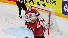 �výcarský úto�ník Kevin Fiala slaví prom�n�ný samostatný nájezd proti �esku na...